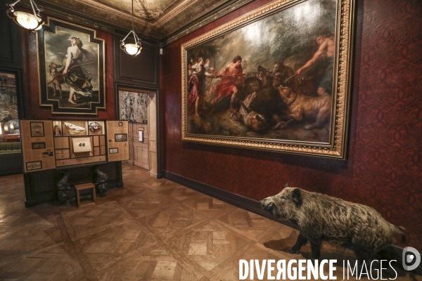 Exposition eva jospin au musee de la chasse a paris