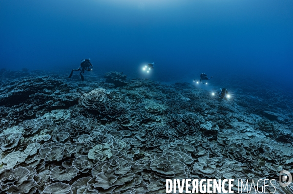 Projet 1 ocean unesco - exploration du recif profond de tahiti
