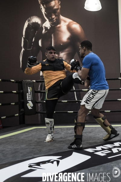MMA Factory, salle de sport.