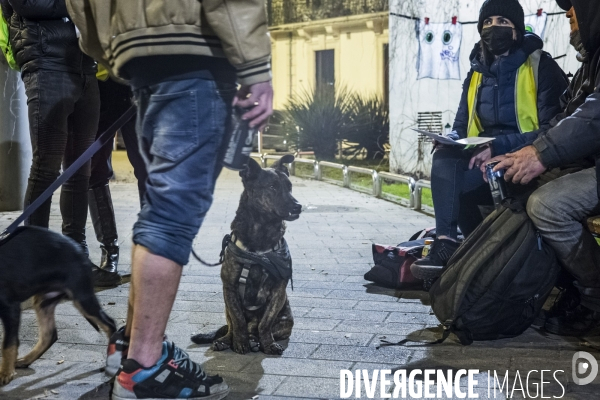 Nuit de la solidarité à Montpellier