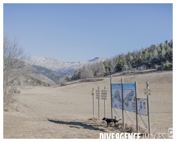 Le long de la Transbassealpine Digne Nice ( le rallye de Monte Carlo )