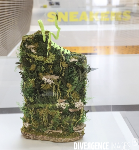 Exposition les sneakers entrent au musee