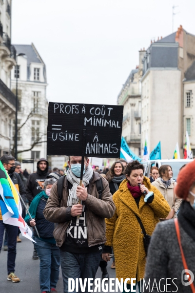 Manifestation pour le pouvoir d achat à Nantes