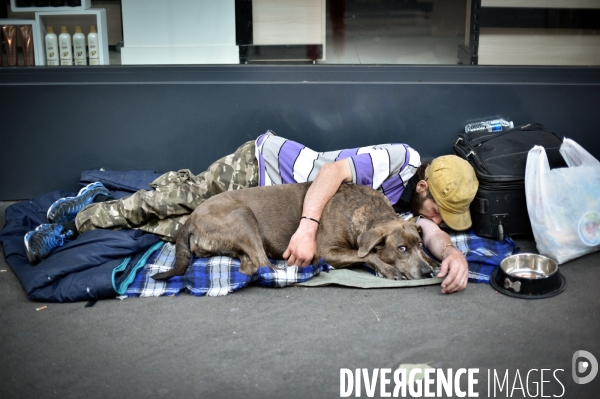 Les chiens, compagnons des gens de la rue et du voyage.