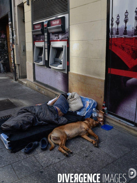 Les chiens, compagnons des gens de la rue et du voyage.