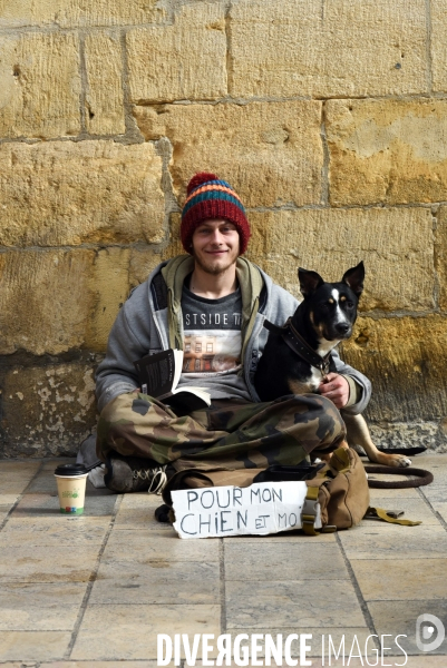 Les chiens, compagnons des gens de la rue et du voyage.