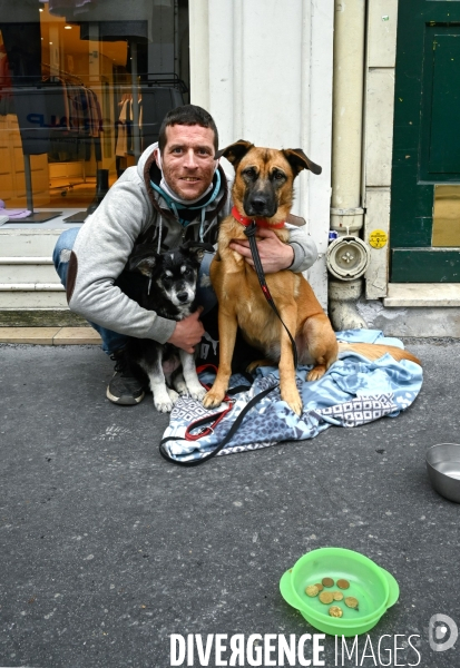 Les chiens, compagnons des gens de la rue et du voyage.