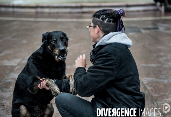 Les chiens, compagnons des gens de la rue et du voyage.