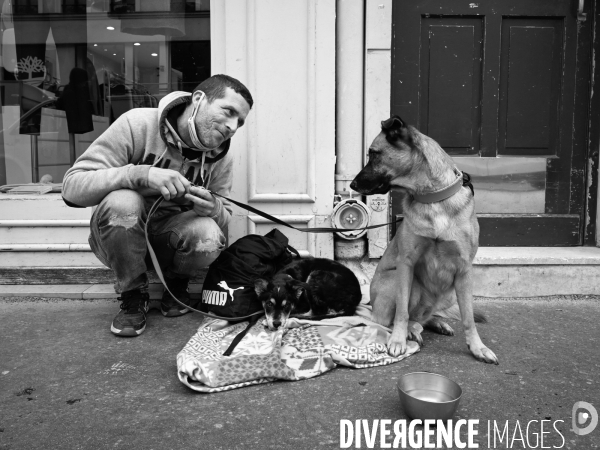 Les chiens, compagnons des gens de la rue et du voyage.