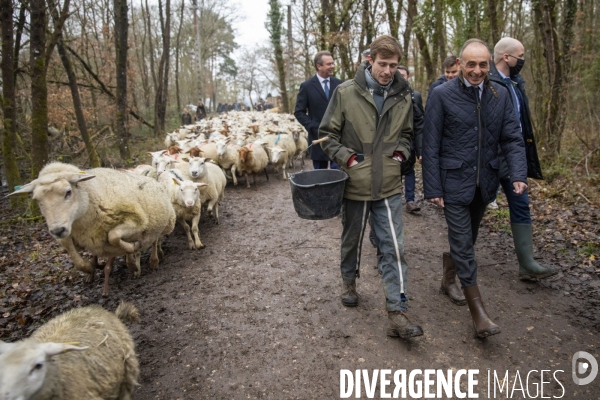 Eric ZEMMOUR dans un élevage de moutons du Loir-et-Cher