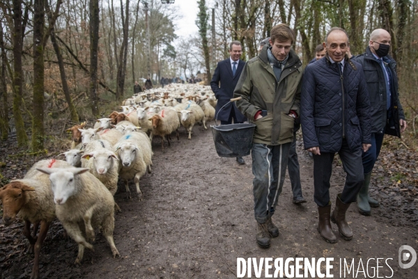 Eric ZEMMOUR dans un élevage de moutons du Loir-et-Cher