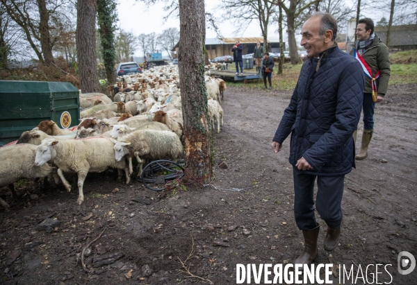 Eric ZEMMOUR dans un élevage de moutons du Loir-et-Cher