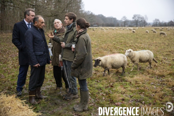 Eric ZEMMOUR dans un élevage de moutons du Loir-et-Cher