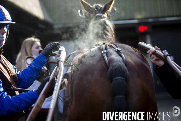 Courses hippiques sur l hippodrome de Paris-Vincennes