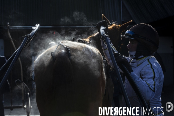 Courses hippiques sur l hippodrome de Paris-Vincennes