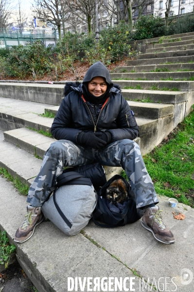 Les chiens, compagnons des gens de la rue et du voyage.