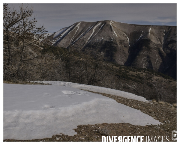 Le long de la Transbassealpine Digne-Nice ( Monte Carlo Historique )