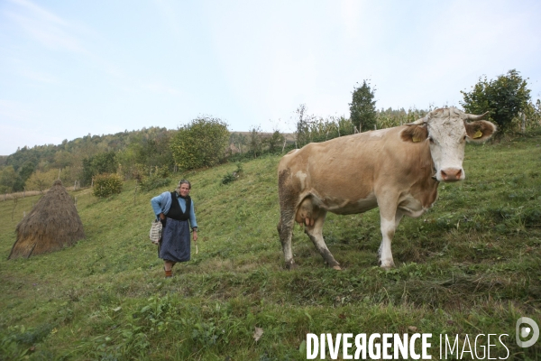 Roumanie/transylvanie