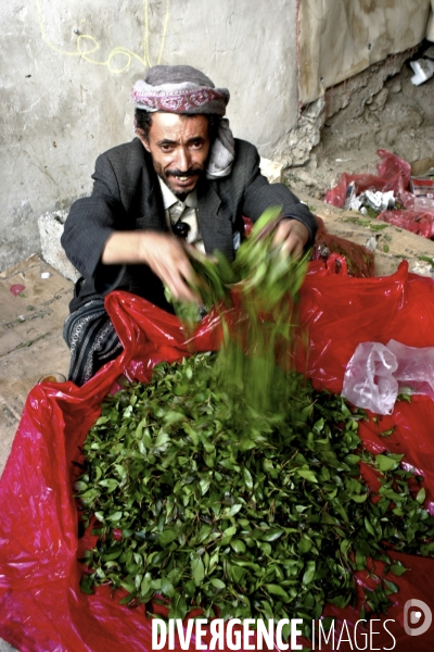 Le khat au yemen