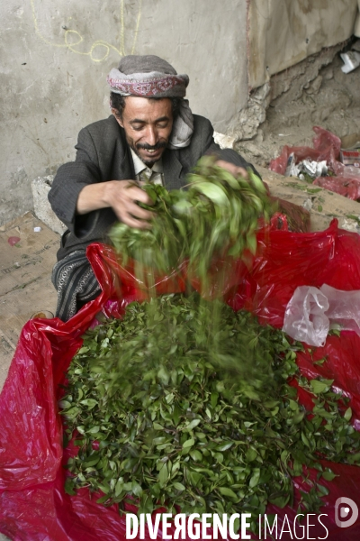 Le khat au yemen