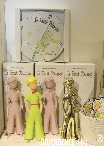 Petit prince store ,paris