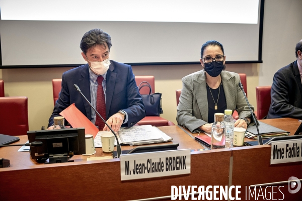 Audition de Jean Claude Brdenk à l Assemblée Nationale