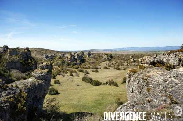 LARZAC - Western Aveyronnais