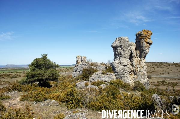 LARZAC - Western Aveyronnais