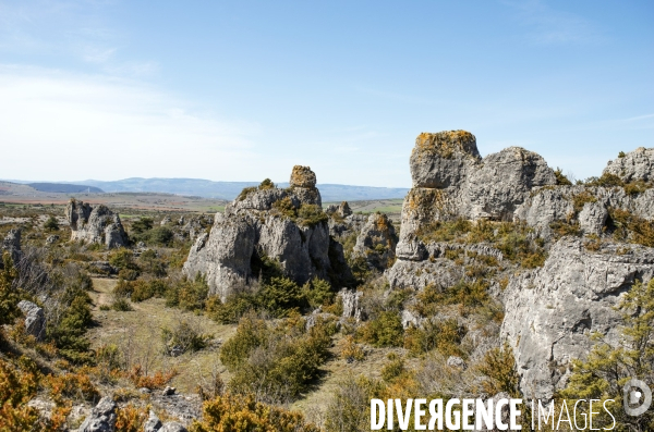 LARZAC - Western Aveyronnais
