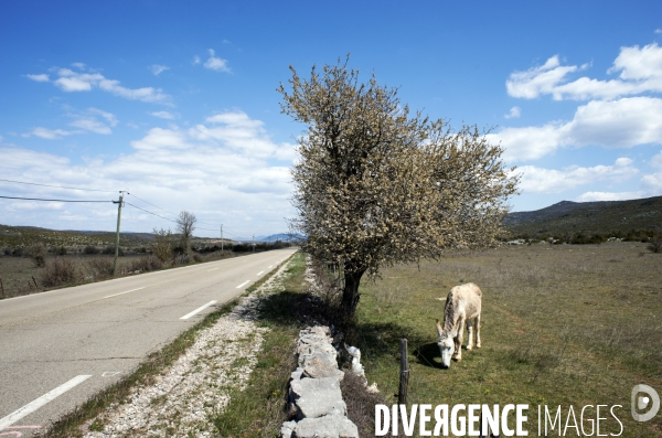 LARZAC - Western Aveyronnais