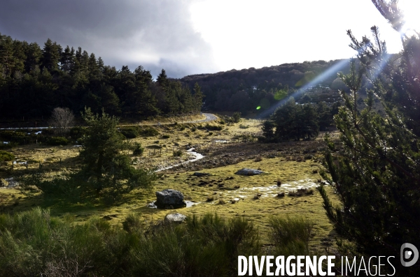 LOZERE - Margeride