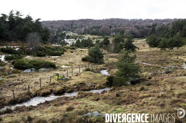 LOZERE - Margeride