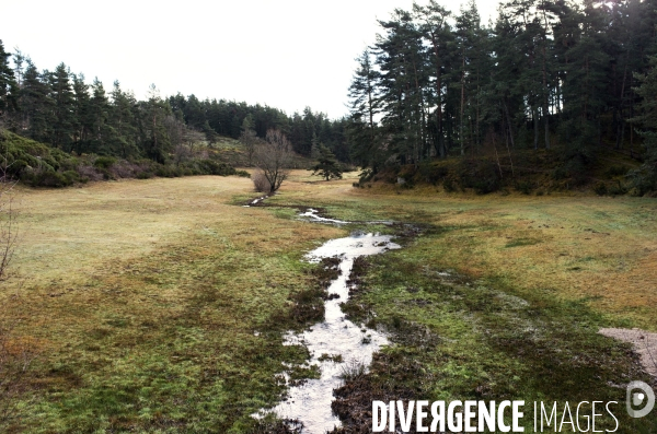 LOZERE - Margeride