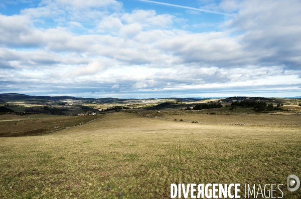 LOZERE - Margeride