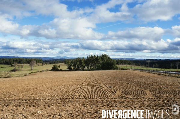 LOZERE - Margeride