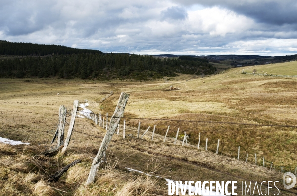 LOZERE - Margeride