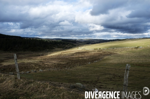 LOZERE - Margeride