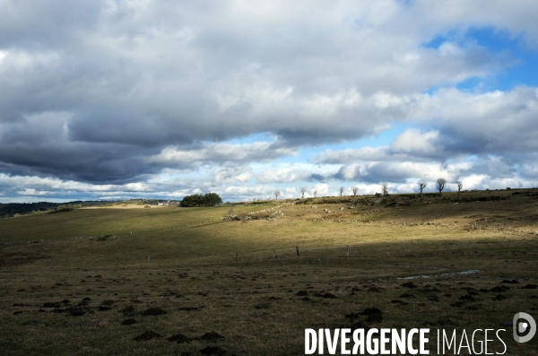 LOZERE - Margeride