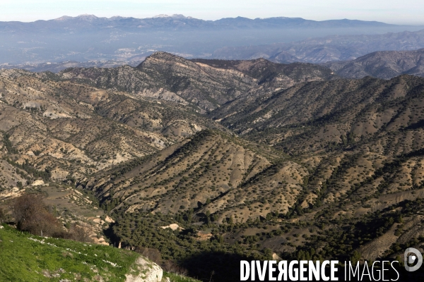 Monuments des martyrs en Algérie