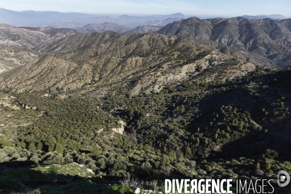 Monuments des martyrs en Algérie