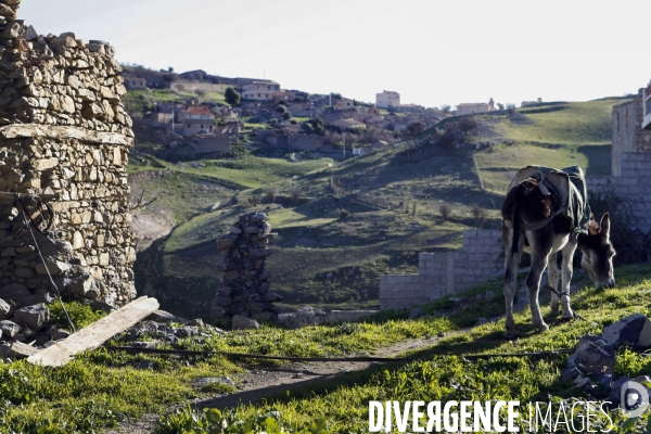 Monuments des martyrs en Algérie