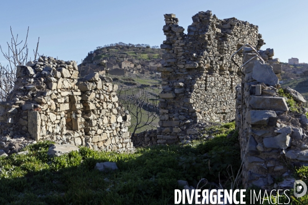 Monuments des martyrs en Algérie