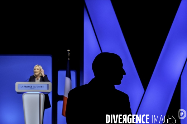 Marine Le Pen en metting à Vienne.