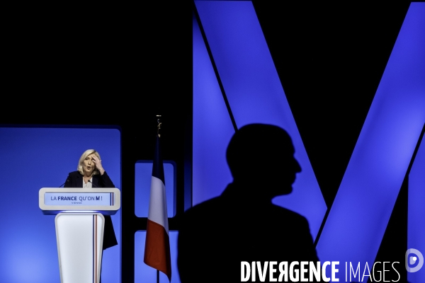 Marine Le Pen en metting à Vienne.