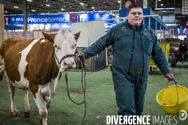 Salon de l Agriculture - Arrivee des Grands Animaux