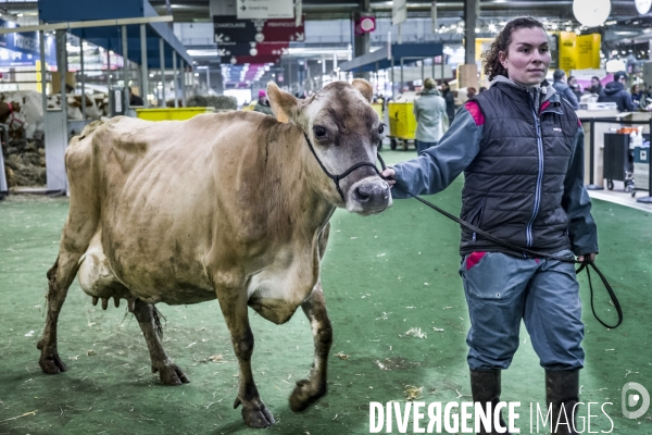 Salon de l Agriculture - Arrivee des Grands Animaux