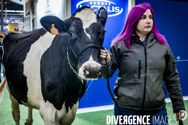 Salon de l Agriculture - Arrivee des Grands Animaux