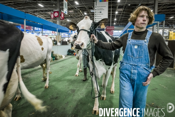 Salon de l Agriculture - Arrivee des Grands Animaux