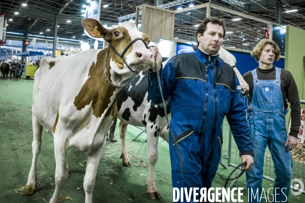 Salon de l Agriculture - Arrivee des Grands Animaux