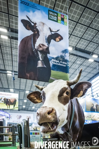 Salon de l Agriculture - Arrivee des Grands Animaux